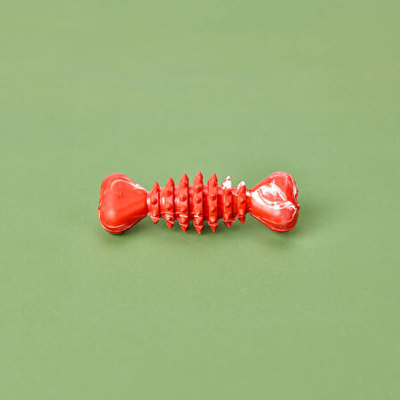 Köpek Çiğneme Oyuncağı - Asorti - 12 cm
