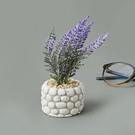 Mini Saksıda Lavanta - Asorti - 10x5x5 cm