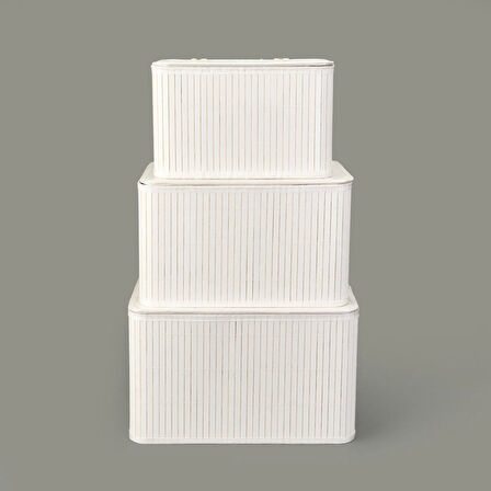 Living 3'lü Çok Amaçlı Kapaklı Dekoratif Sepet - Beyaz