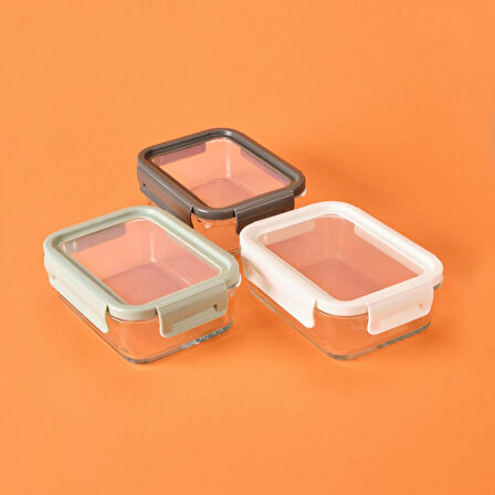 Freeze Cam Saklama Kabı - Asorti - 900 ml