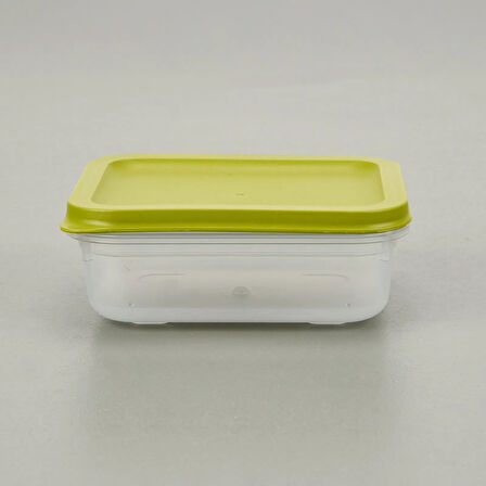 Alfa Derin Dondurucu Saklama Kabı - Asorti - 500 ml