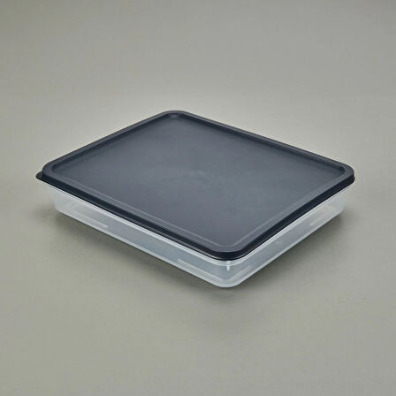 Alfa Derin Dondurucu Saklama Kabı - Asorti - 2600 ml