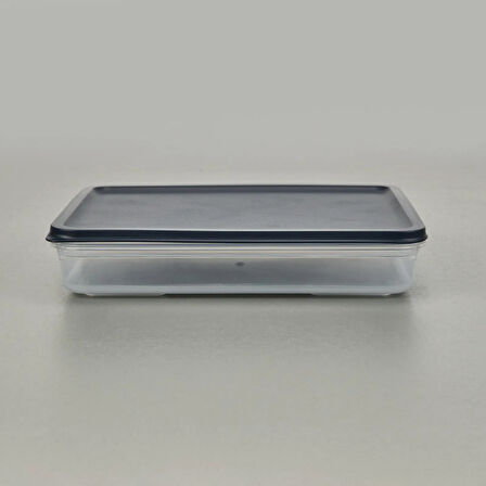 Alfa Derin Dondurucu Saklama Kabı - Asorti - 2600 ml