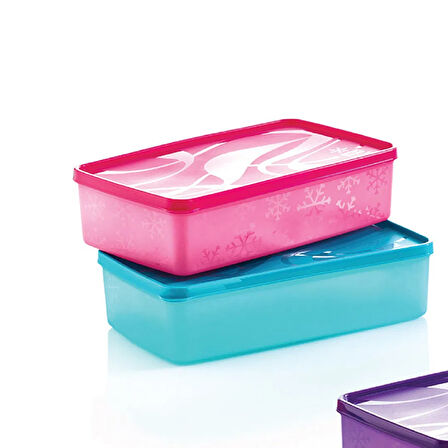 Alaska Dikdörtgen Derin Dondurucu Saklama Kabı - Asorti - 2,1 lt