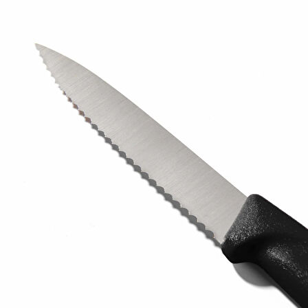 67633 Tırtıklı Soyma Bıçağı - Siyah - 8 cm