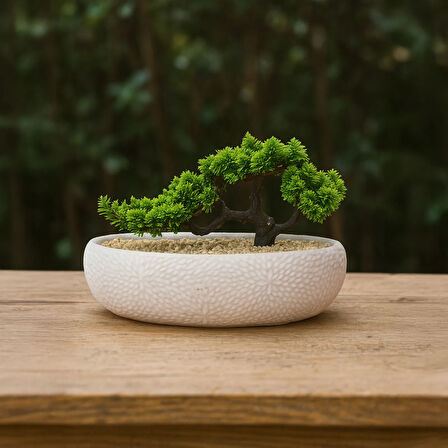 Desenli Elips Saksıda Bonsai - Renkli - 24x33 cm