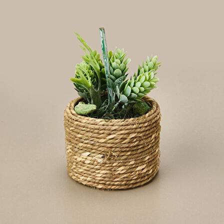 Natürel Çiçek - Asorti - 15 cm