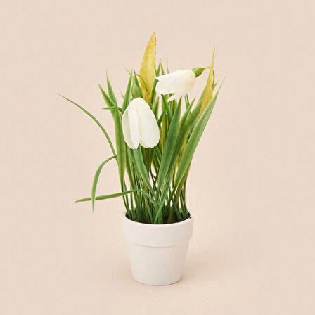 Spring Çiçek - Asorti - 6x5 cm