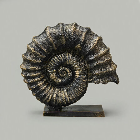 Deco Deniz Kabuğu Dekor - Gold / Siyah - 30 cm