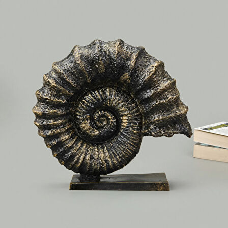 Deco Deniz Kabuğu Dekor - Gold / Siyah - 30 cm