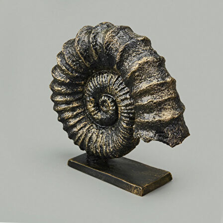 Deco Deniz Kabuğu Dekor - Gold / Siyah - 30 cm