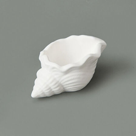 Deco Nautilius Dekor - Beyaz - 10 cm
