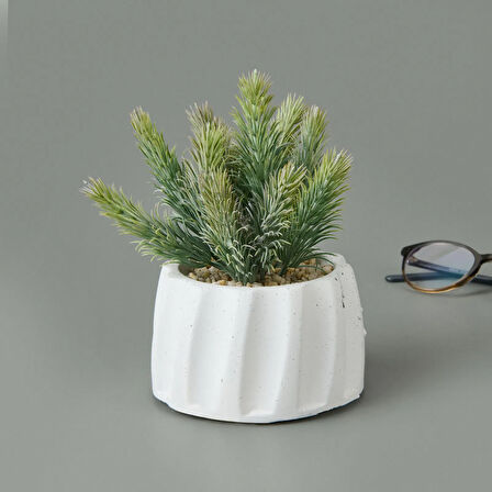 Beton Saksıda Real Touch Çam Yaprağı - Asorti - 25x10x10 cm