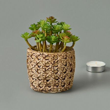 Hasır Efekt Saksıda Sukulent - 7x8x8 cm