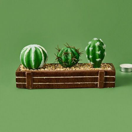 Mini Kasada Kaktüs - Kahverengi - 8x21 cm