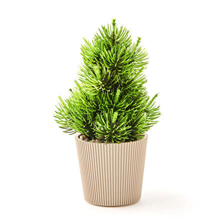Dekor Saksılı Yapay Çam Ağacı - Renkli - 15x5 cm