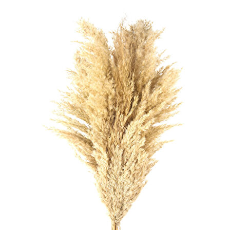 Deco Pampas Yapay Çiçek - Bej - 90x20 cm