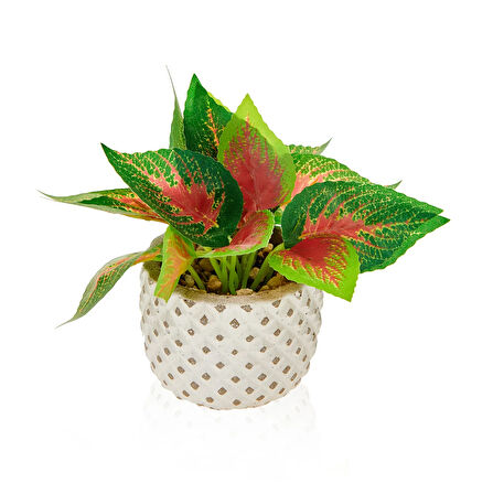 Mini Saksıda Yapraklar - Asorti