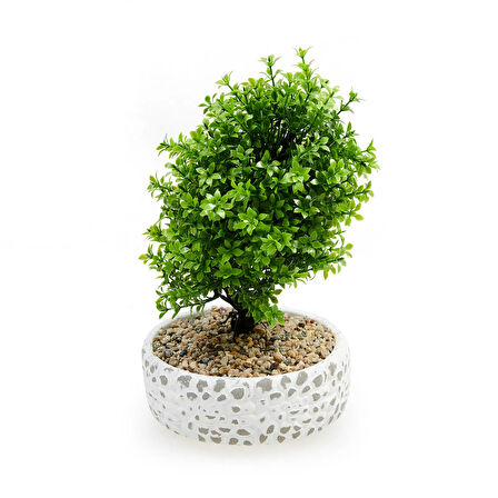 Dekoratif Çakıl Ağaç