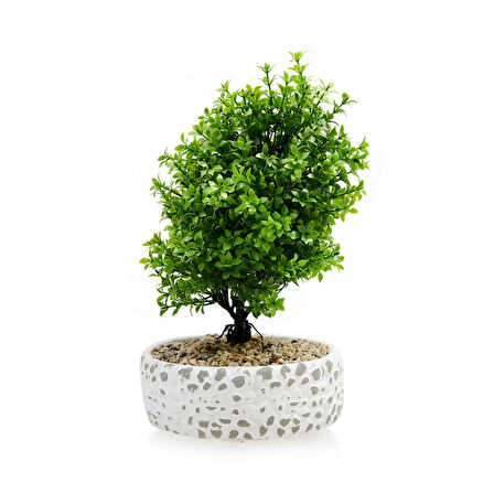 Dekoratif Çakıl Ağaç