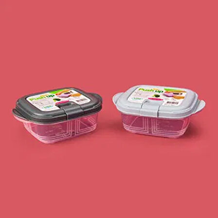 Life Kare Push Up Saklama Kabı - Asorti - 300 ml