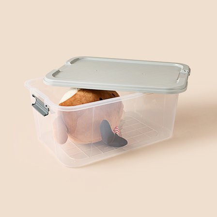 Living Agata Organizer Kutu - Şeffaf - 27,5 lt