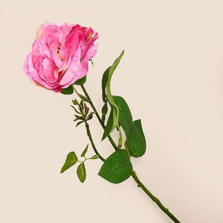 Deco Katmerli Gül Yapay Dal Çiçek - Pembe - 50 cm