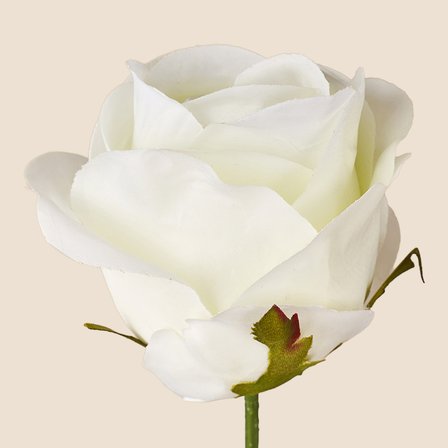 Deco Gül Yapay Dal Çiçek - Beyaz -  74,5 cm