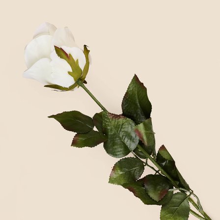 Deco Gül Yapay Dal Çiçek - Beyaz -  74,5 cm