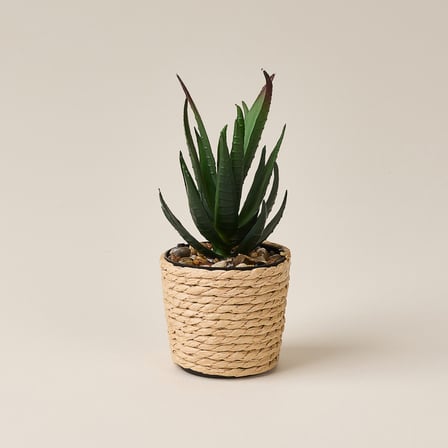 Deco Hasır Saksı Yapay Aloe Vera - Bej / Yeşil - 14x6 cm
