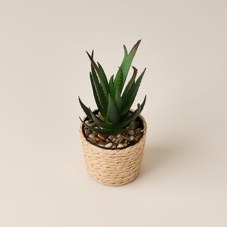 Deco Hasır Saksı Yapay Aloe Vera - Bej / Yeşil - 14x6 cm