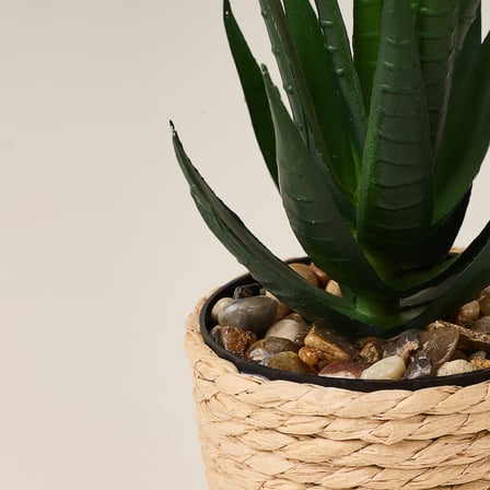 Deco Hasır Saksı Yapay Aloe Vera - Bej / Yeşil - 14x6 cm