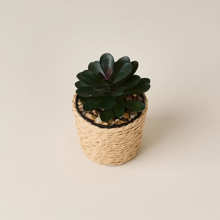 Deco Hasır Saksı Yapay Sukulent - Bej / Yeşil - 10x6 cm