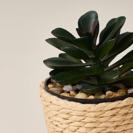 Deco Hasır Saksı Yapay Sukulent - Bej / Yeşil - 10x6 cm