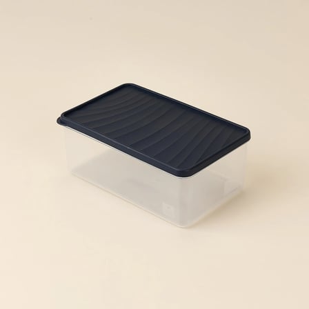 Derin Dondurucu Saklama Kabı - Mavi / Şeffaf - 2,1 lt