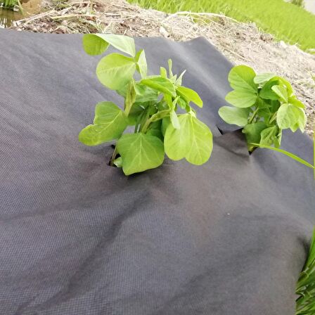 40cmX600M SİYAH TEKSTİL MULCH SİYAH AGRİL 28 GR TARIMSAL OT ÖRTÜSÜ ISI DON PERDESİ KARPUZ ÇİLEK ÖRTÜSÜ, SERA TOPRAK ÖRTÜSÜ
