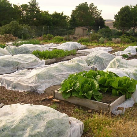 160cm X 10m AGRİL ISI DON PERDESİ, ZİRAİ DON KIRAĞI ÖRTÜ METRE 19gr