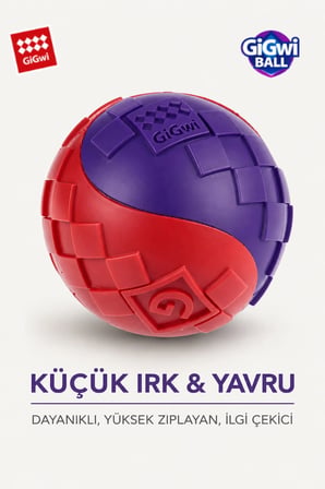 Ball Originals Özel Dokulu & Sesli Köpek Oyun Topu - Tekli Paket - Küçük Irk & Yavru - 5 cm