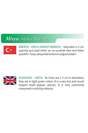 Ata Tohumu Yerli Doğal Misket Biberi 100 Adet Tohum