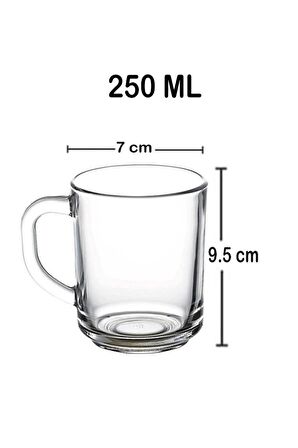 55029 Pub Kulplu Cam 6lı 250 Ml Kupa Bardağı Takımı