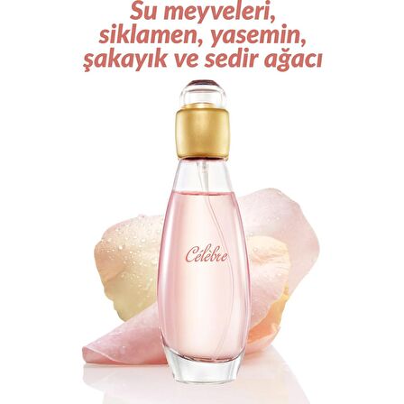 Kaliko Celebre 50 Ml Kadın Parfüm Edt