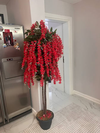 Pembe Morsalkım Wisteria Akasya Ağacı (170 cm) - 1. Sınıf Dolgun Çiçekli Dekoratif Yapay Salon Ağacı