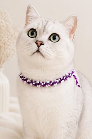 El Örgüsü Kedi Boyun Aksesuarı Mor Beyaz Boncuklu Bağcıklı El Yapımı Dekoratif Kedi Tasması