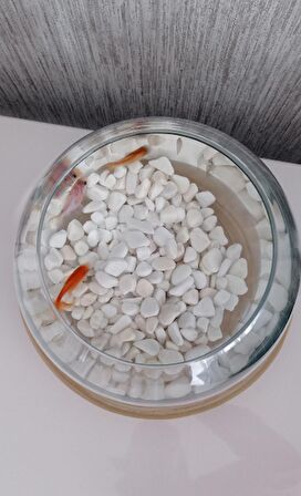 Beyaz Dolomit Taşı 2 Kg 1-2 Cm Dolomit Taş Akvaryum Dekorasyonu Dere Çakılı Mezar Taşı Bahçe Süs Taşı Mezar Süsleme Taşı