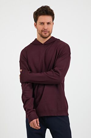 Erkek Comfort Fit Kapüşonlu Düz Sweatshirt Mürdüm