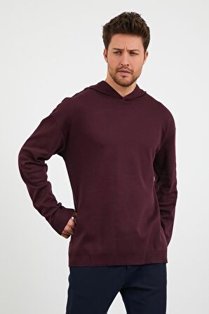 Erkek Comfort Fit Kapüşonlu Düz Sweatshirt Mürdüm