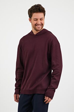 Erkek Comfort Fit Kapüşonlu Düz Sweatshirt Mürdüm