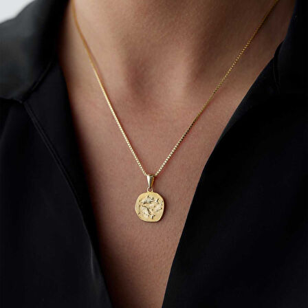 Balık Burcu Plaka Kolye