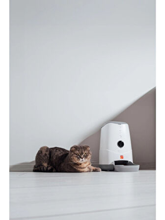 Otomatik 1080P Kameralı Mama Kabı Uzaktan Wifi Kontrollü