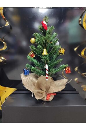 Yılbaşı Ağacı 40cm